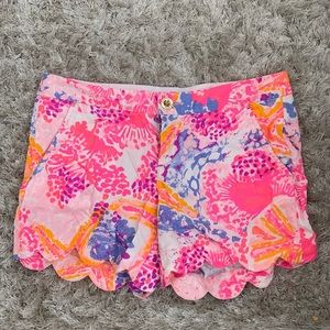 Multicolored Shorts
